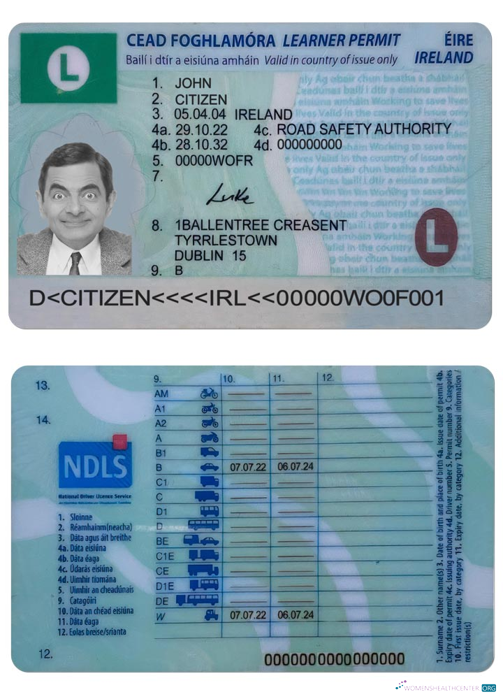 download Ireland driving license (learner permit) 2022  present
